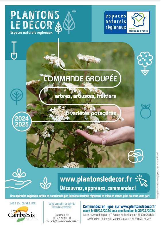 Plantons le decor